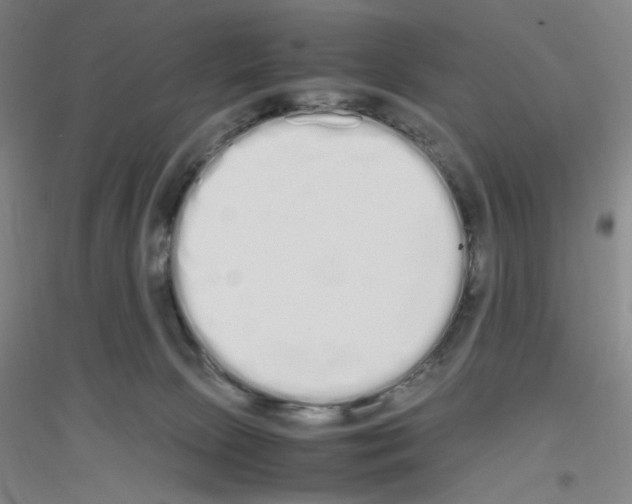 X0000116840081201001291713
