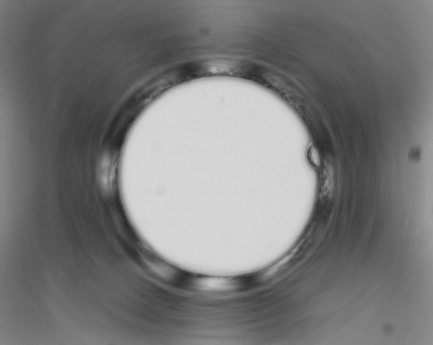 X0000116840082201001291713