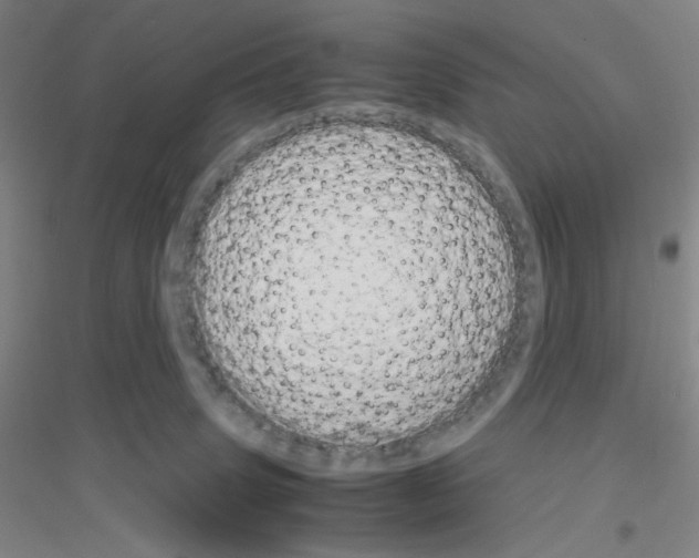 X0000116840083201001291713