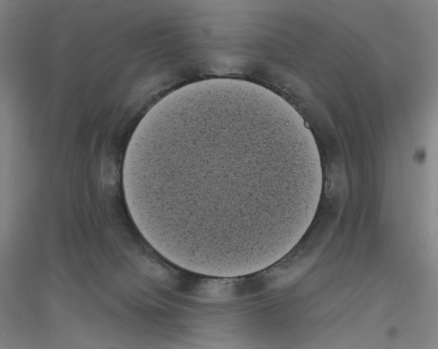 X0000116840084201001291713