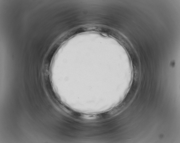 X0000116840085201001291713
