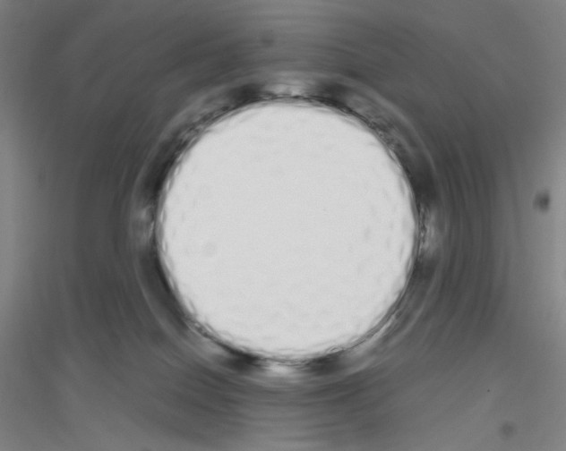 X0000116840086201001291713
