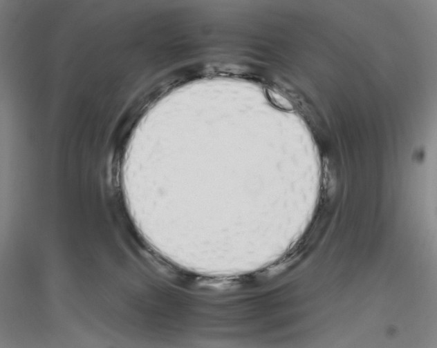 X0000116840087201001291713