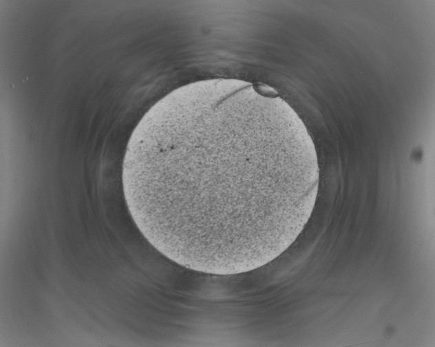 X0000116840088201001291713