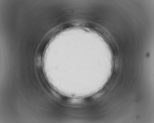 X0000116840089201001291713
