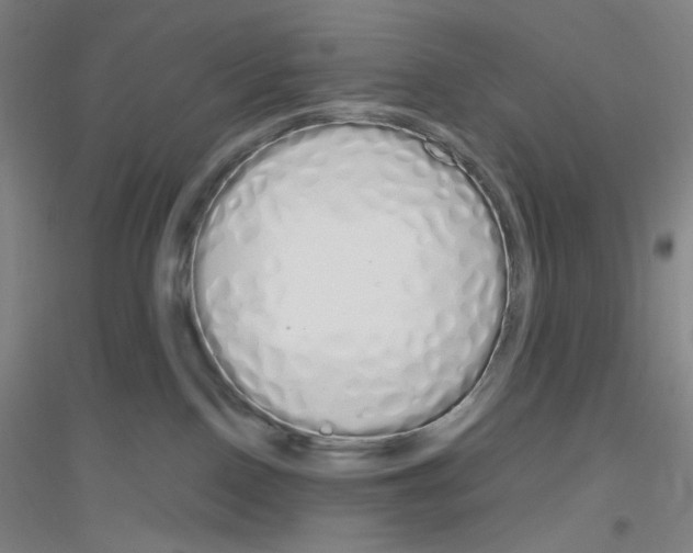 X0000116840090201001291713