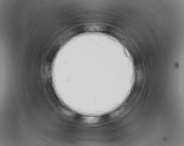 X0000116840091201001291713