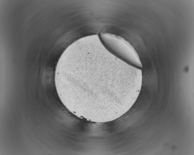 X0000116840092201001291713