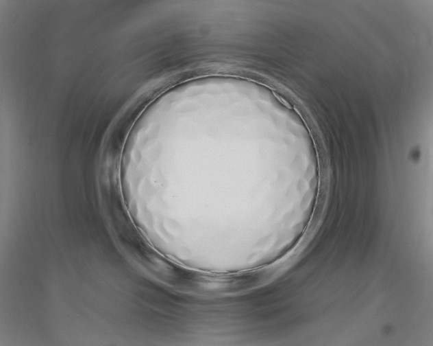 X0000116840094201001291713