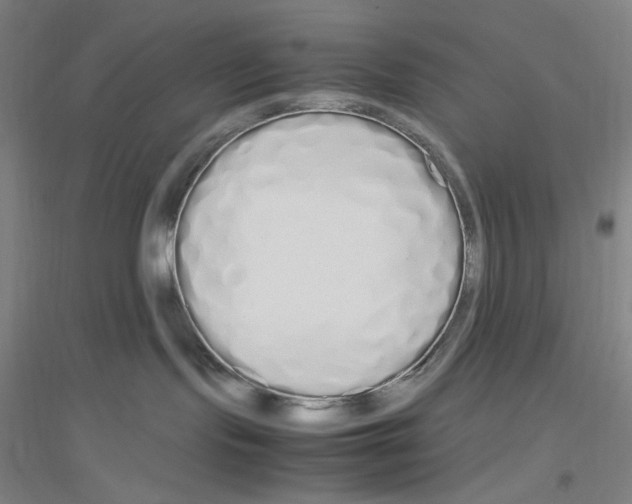 X0000116840095201001291713