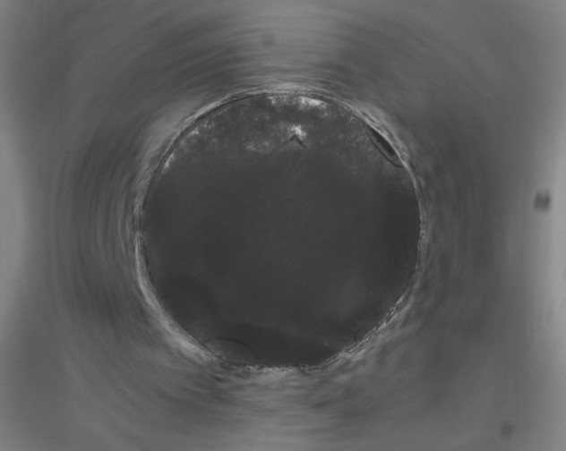 X0000116840097201001291713