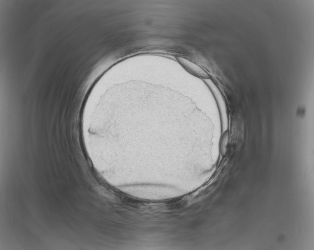 X0000116840099201001291713