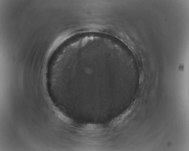 X0000116840101201001291713