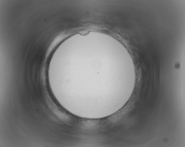 X0000116840102201001291713