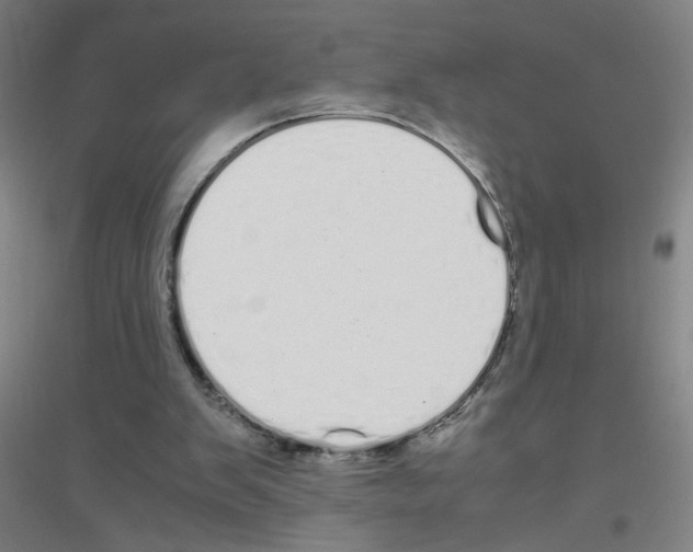 X0000116840103201001291713