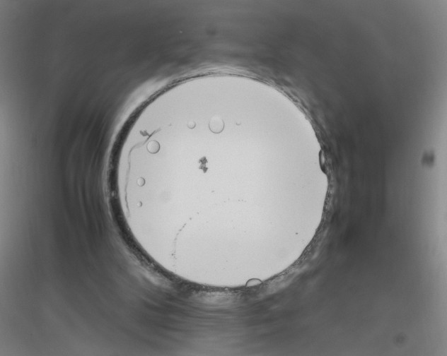 X0000116840104201001291713