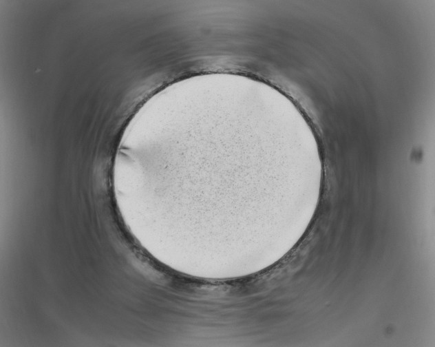 X0000116840105201001291713
