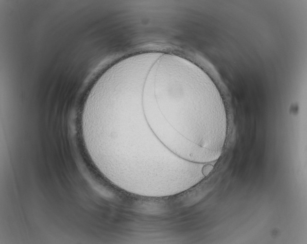 X0000116840106201001291713
