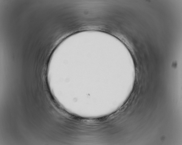 X0000116840107201001291713
