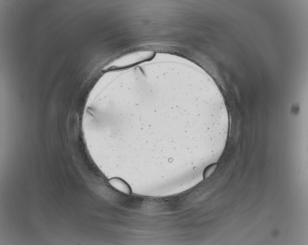X0000116840109201001291713