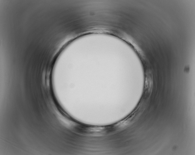 X0000116840110201001291713