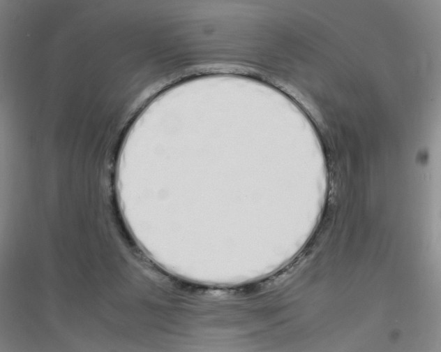 X0000116840111201001291713