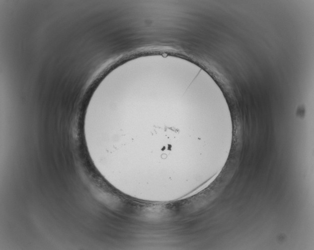 X0000116840112201001291713
