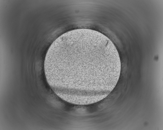 X0000116840113201001291713
