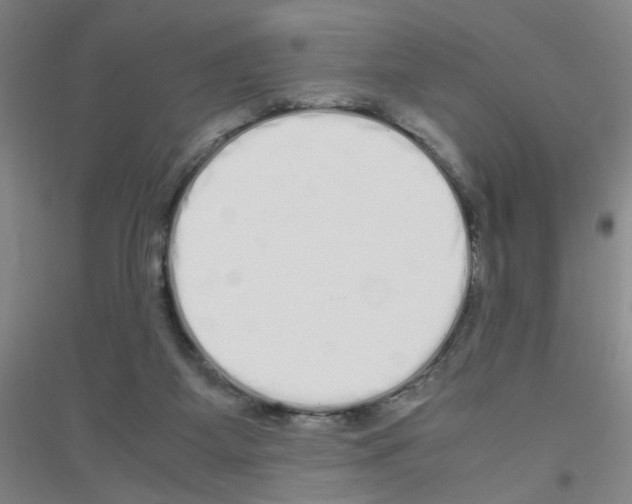X0000116840115201001291713