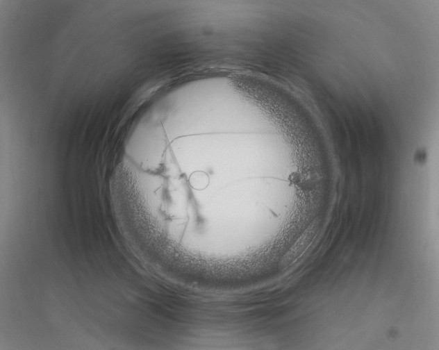 X0000116840116201001291713
