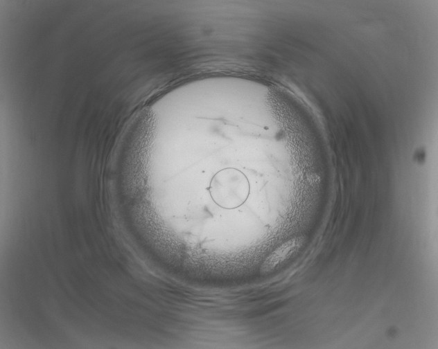 X0000116840117201001291713