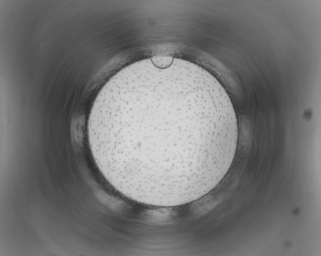 X0000116840118201001291712
