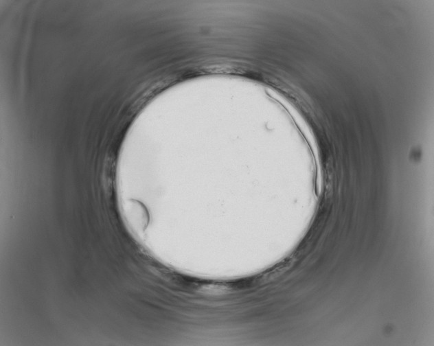 X0000116840119201001291712