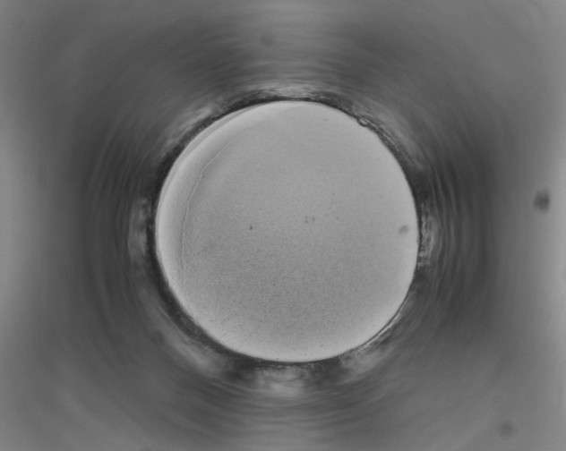 X0000116840120201001291712