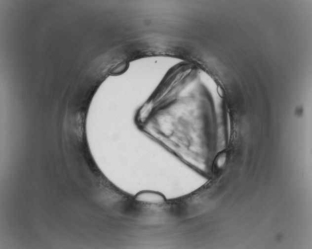X0000116840121201001291712