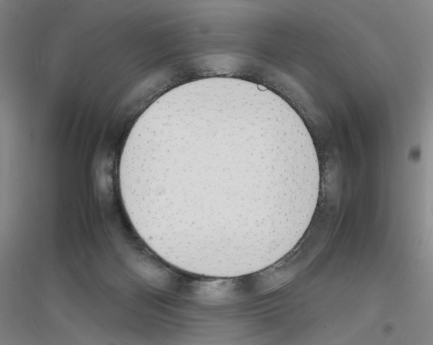 X0000116840122201001291712