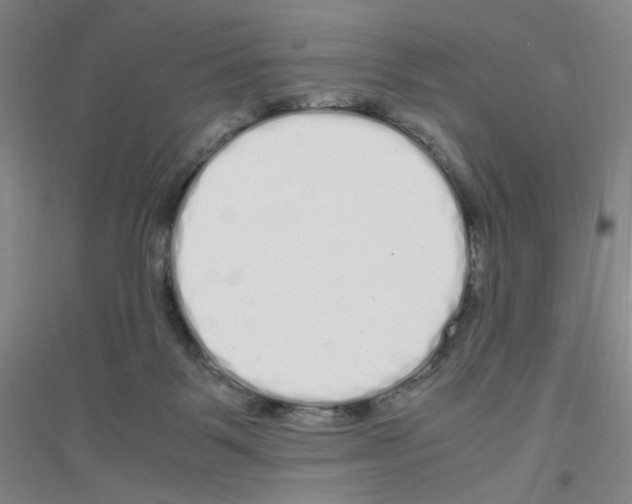 X0000116840123201001291712