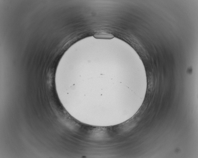 X0000116840124201001291712