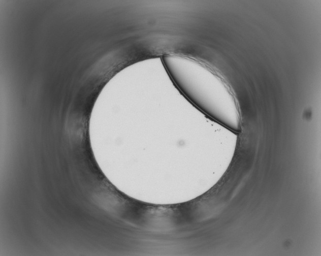 X0000116840125201001291712