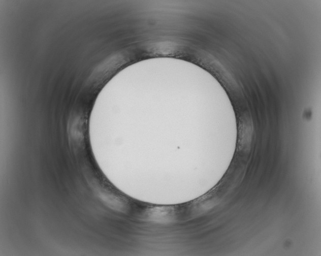 X0000116840126201001291712