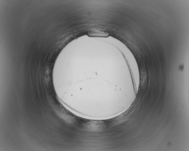 X0000116840128201001291712