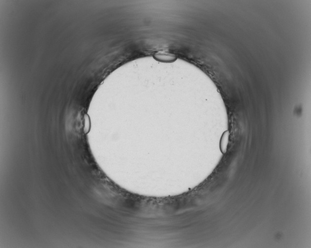 X0000116840129201001291712
