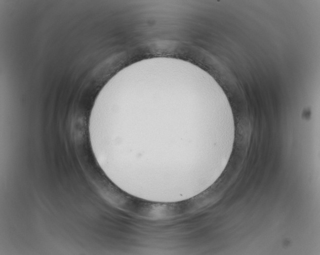 X0000116840130201001291712