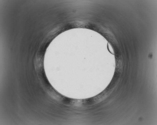 X0000116840131201001291712