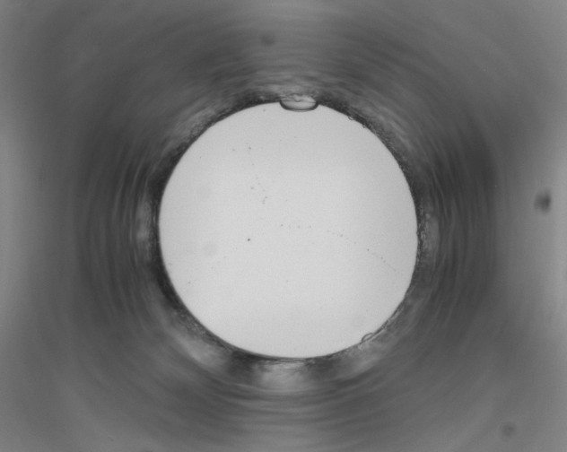 X0000116840132201001291712