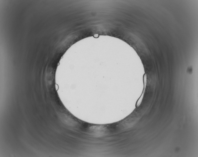 X0000116840133201001291712