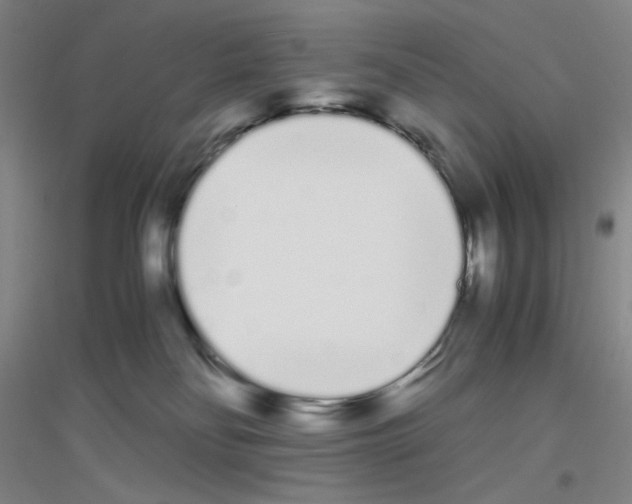 X0000116840134201001291712