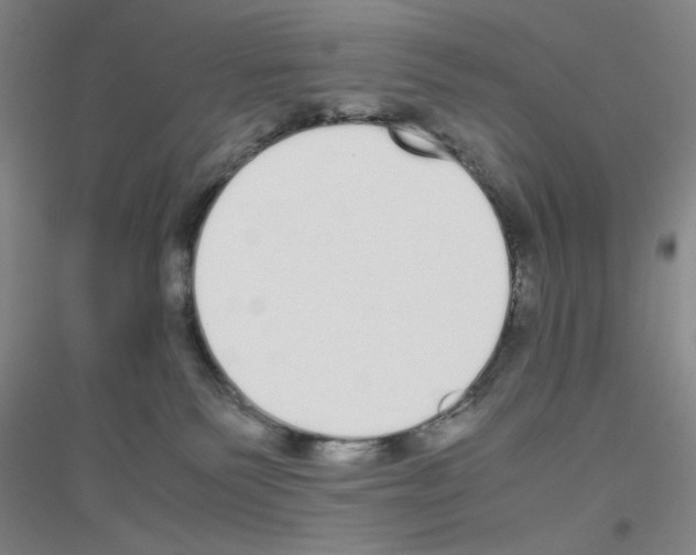 X0000116840135201001291712