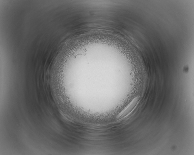 X0000116840136201001291712