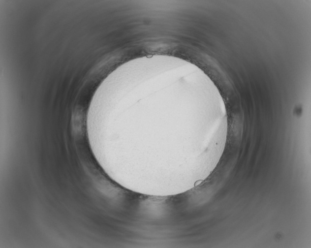 X0000116840138201001291712